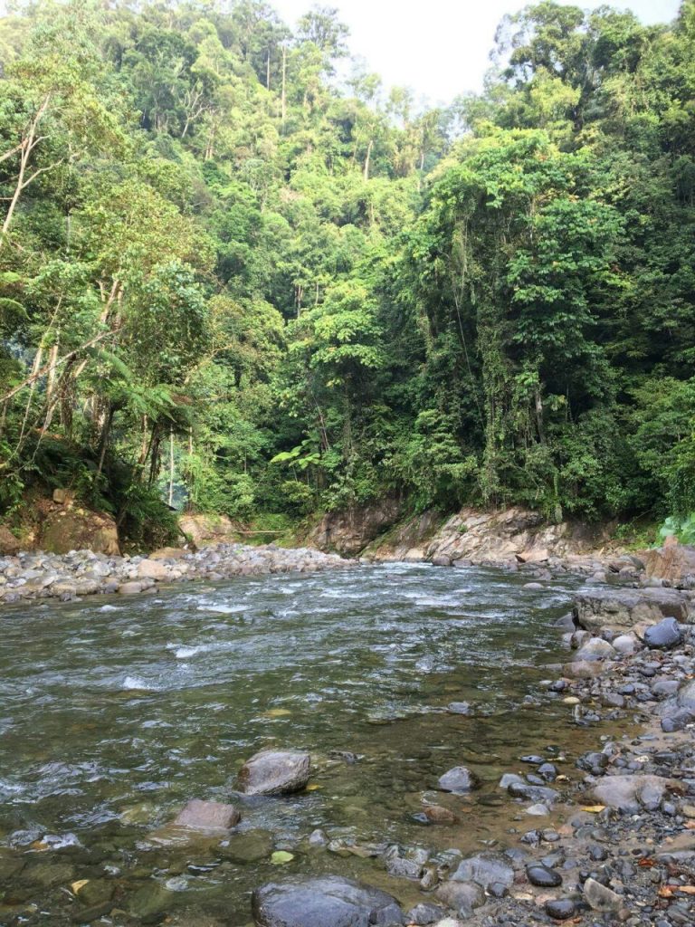 Gunung Leuser National Park - Bukit Lawang Adventure